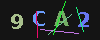 Gambar captcha
